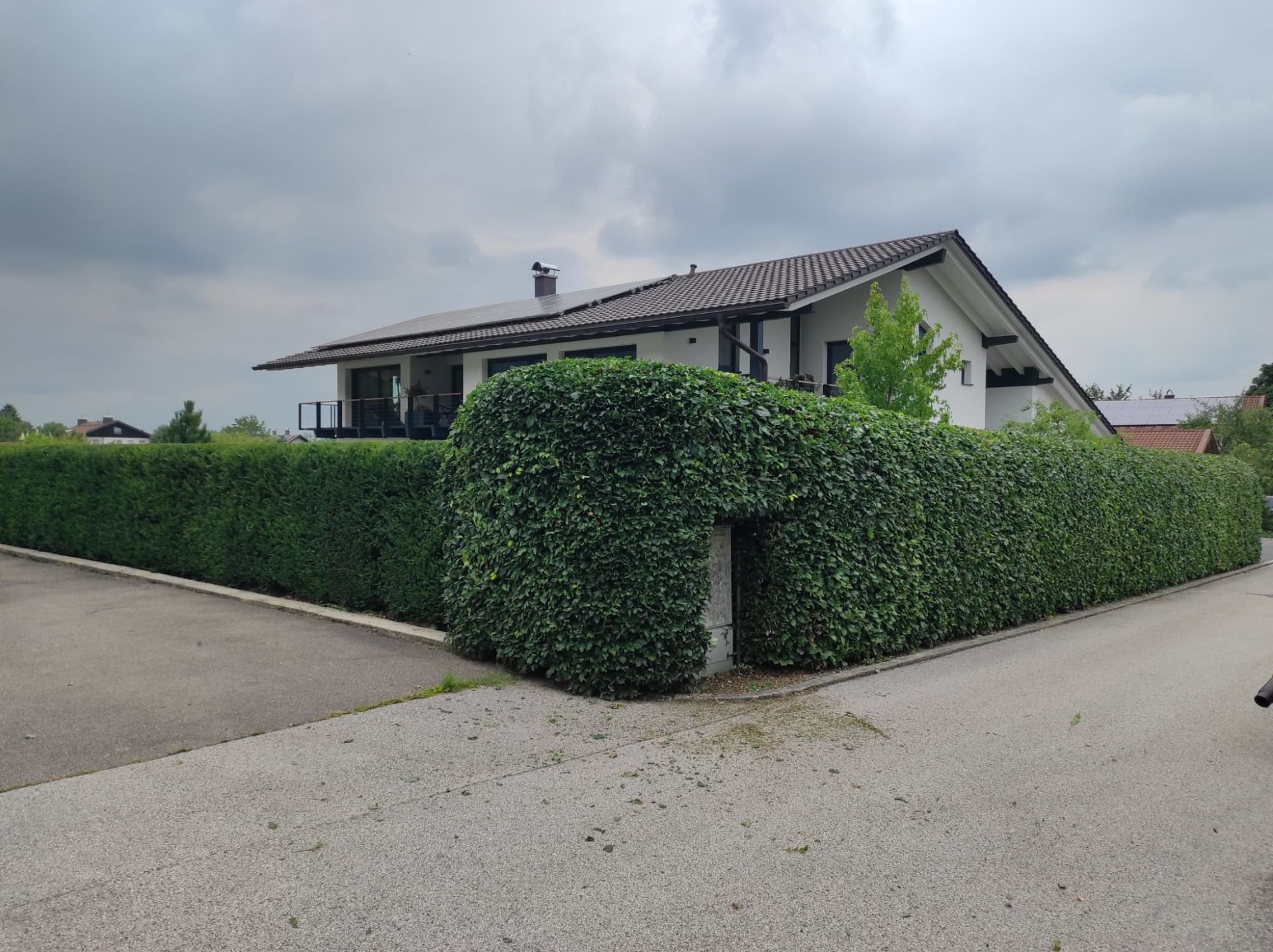 Sorgfältig in Form geschnittene Buchenhecke mit integriertem Durchgang.