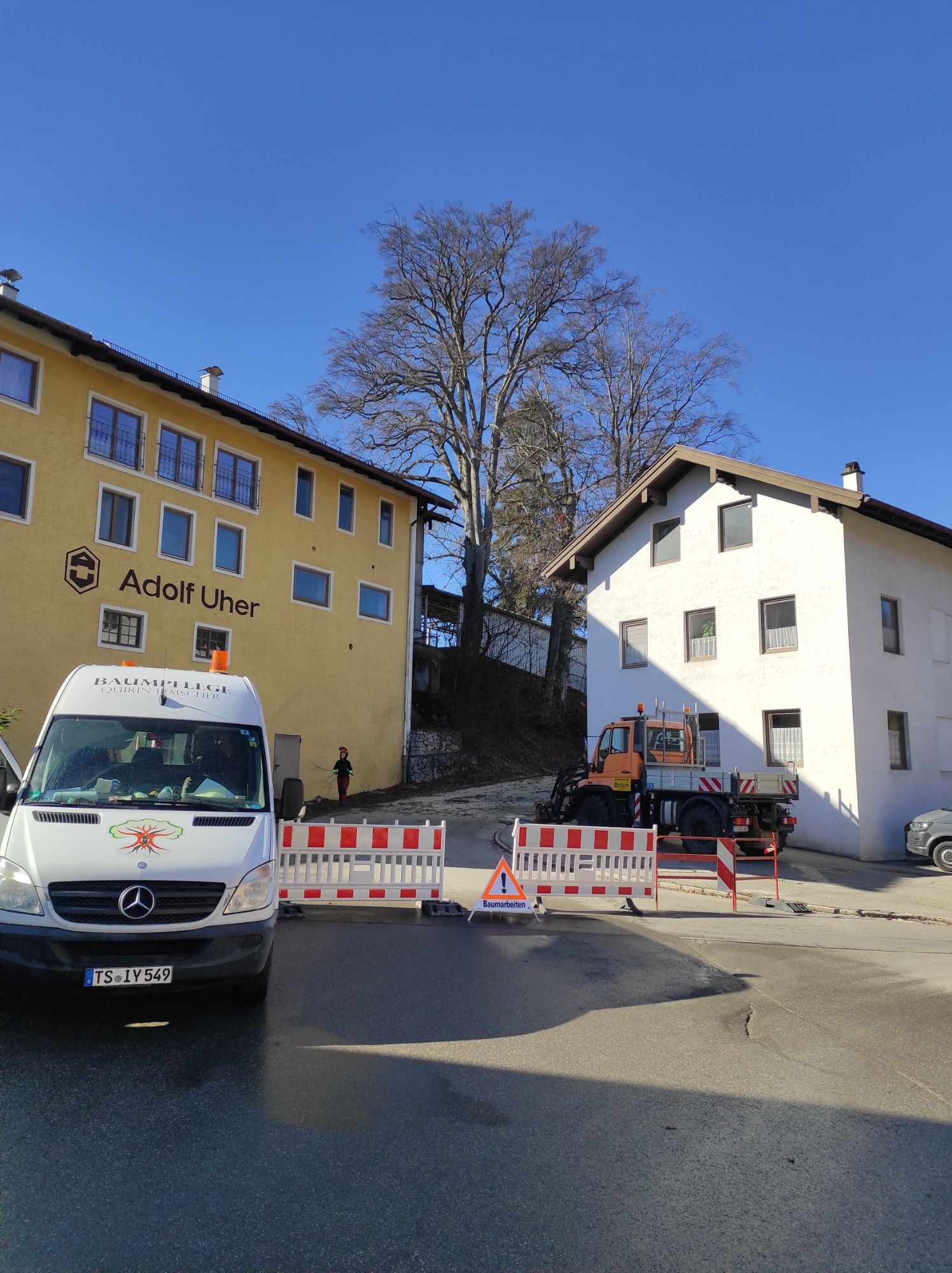 Abgesperrter Arbeitsbereich mit Verkehrssicherung an einer Fällstelle.