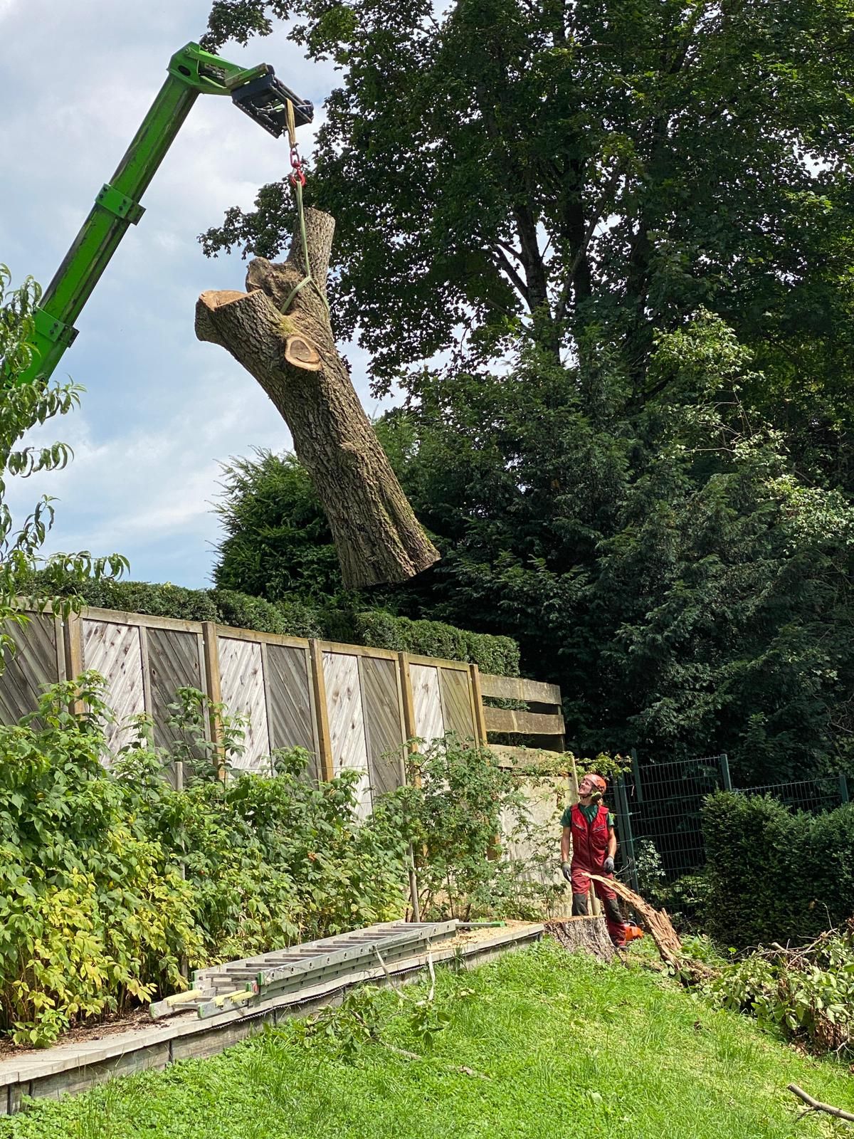 Ein Kran hebt ein abgelängtes Stammstück über einen Gartenzaun bei einer Fällung